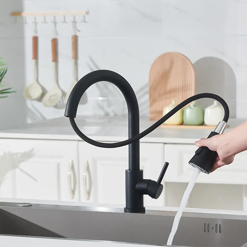 Black Pull-Out Kitchen Faucet