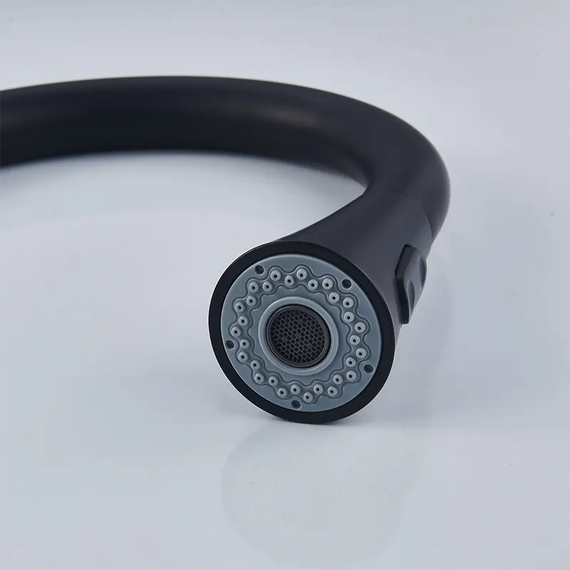 Black Pull-Out Kitchen Faucet