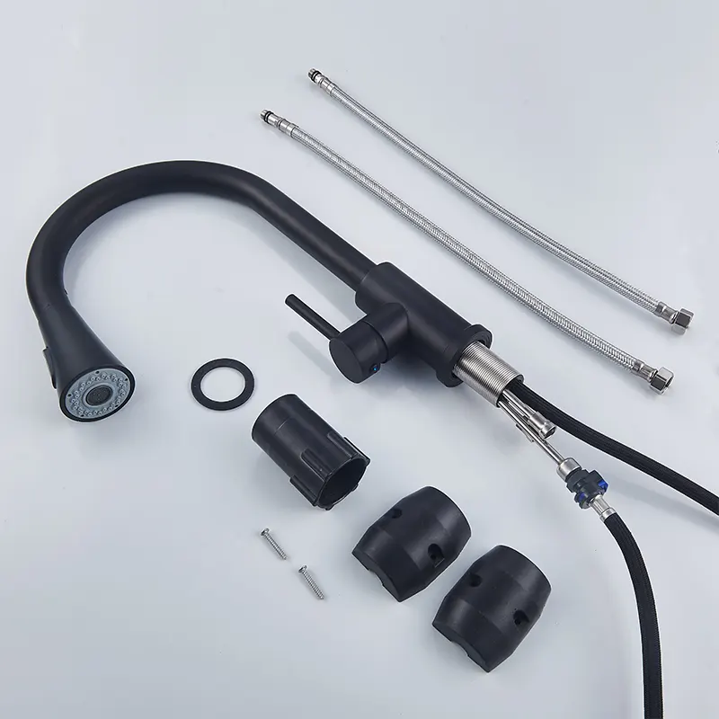 Black Pull-Out Kitchen Faucet