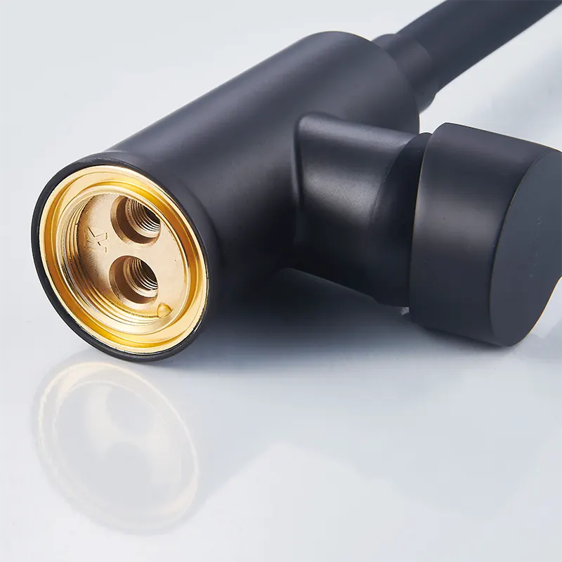 Multi Directional Black Kitchen Faucet